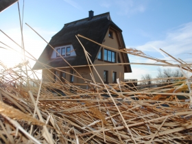 Blick vom Feld in Dranske auf das Haus