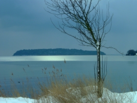 Winterimpression auf Zudar / Rügen