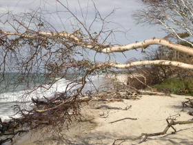 Am Weststrand