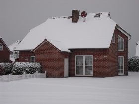 Haustyp Pelikan im Winter