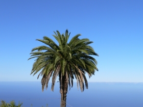 Relax - La Palma