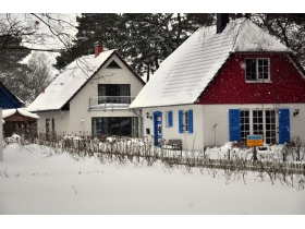 Blick auf die Ferienwohnung (hinteres Haus)
