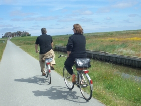Fahrradfahren auf einer Hallig
