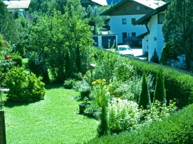 Garten 2012