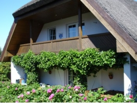 Die Süd-/Westterrasse und Balkon